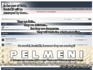 local_meme pelmeni soniccis // 1024x768 // 414KB